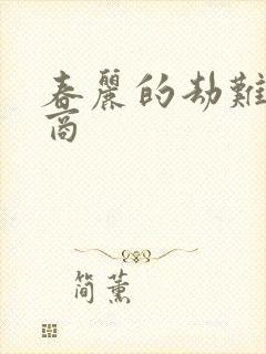 春丽的劫难军火商