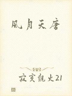 风月天唐