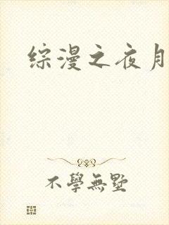 综漫之夜月
