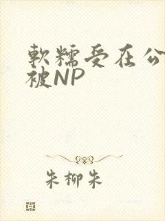 软糯受在公交车被NP