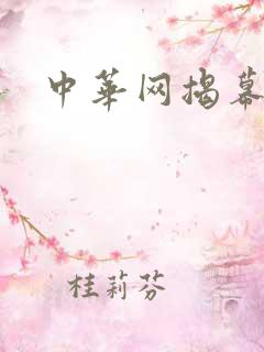 中华网揭幕内参