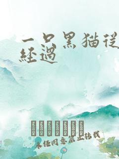 一只黑猫从眼前经过