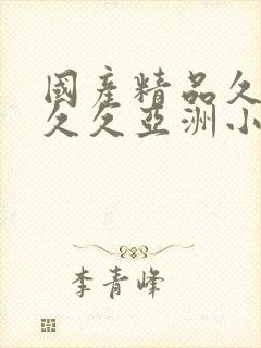 国产精品久久久久久亚洲小说