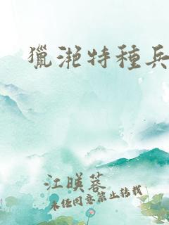 猎滟特种兵小姐