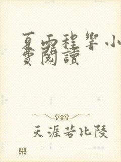 夏雨程响小说免费阅读