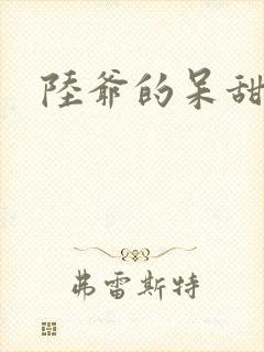 陆爷的呆甜萌妻