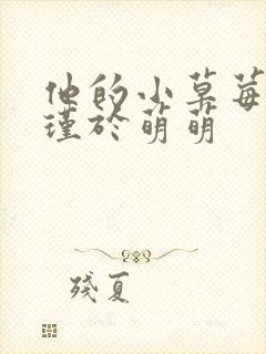 他的小草莓沈修瑾于萌萌