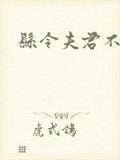 县令夫君不升堂