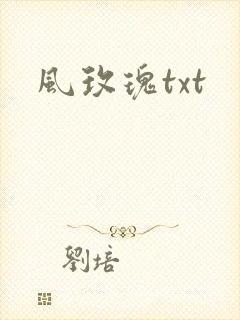 风玫瑰txt
