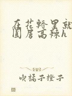 在花轿里就开始圆房高辣h