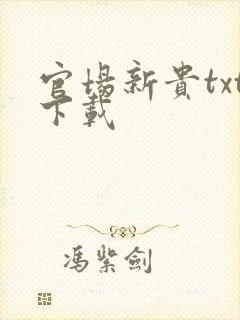 官场新贵txt下载