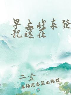 早上醒来发现巨龙还在