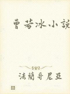 曹若冰小说