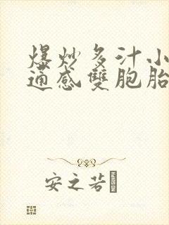 爆炒多汁小美人通感双胞胎燎锋