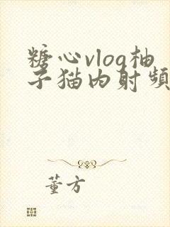 糖心vlog柚子猫内射频