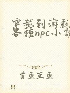 穿越到游戏里和各种npc小说