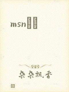 msnС˵