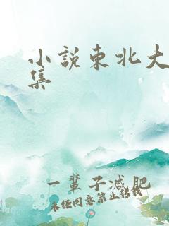 小说东北大炕全集