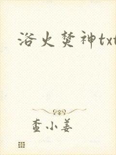 浴火焚神txt