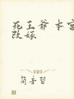 死王爷 本宫已改嫁