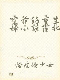 霍爷的重生小媳妇小说霍北江