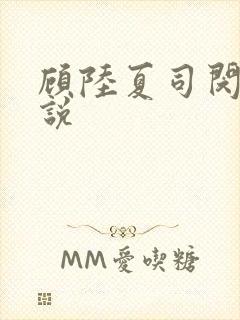 顾陆夏司闵郁小说