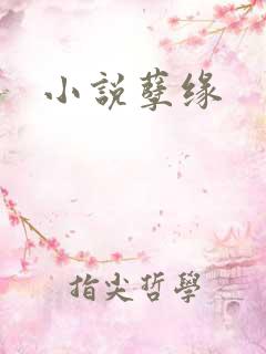 小说孽缘