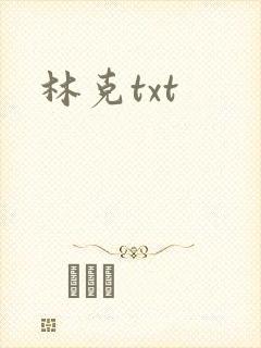 林克txt