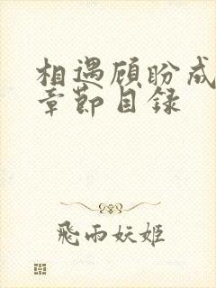 相遇顾盼成欢全章节目录