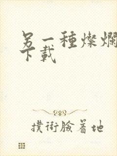 另一种灿烂生活下载