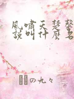 风啸天楚馨月小说叫什么名字
