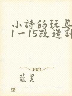 小诗的玩具日记1一15改造计划