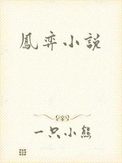 凤弈小说