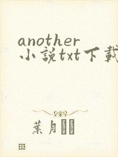 another小说txt下载
