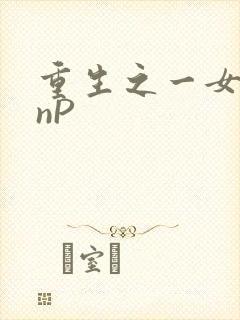 重生之一女九龙nP