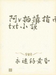 阿v拍摄指南说txt小说
