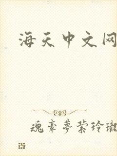 海天中文网
