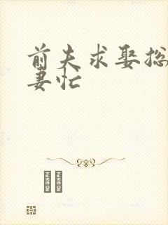 前夫求娶总裁追妻忙