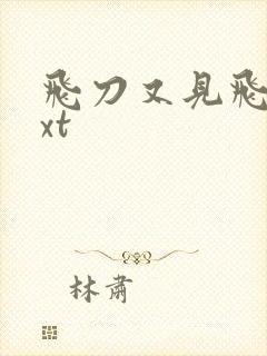 飞刀又见飞刀txt