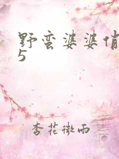 野蛮婆婆俏媳妇5