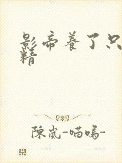 影帝养了只兰花精