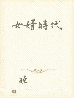 女婿时代