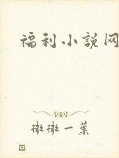 福利小说网
