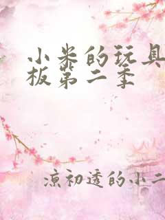 小米的玩具店老板第二季