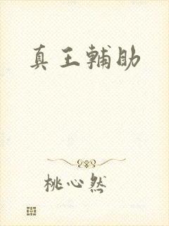 真王辅助