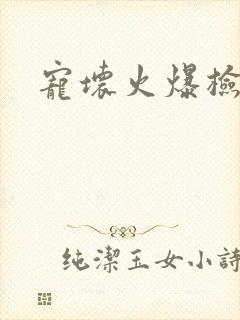 宠坏火爆检察官