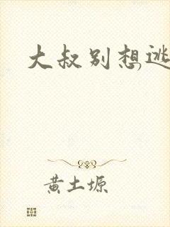 大叔别想逃