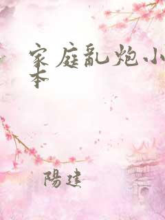 家庭乱炮小说全本