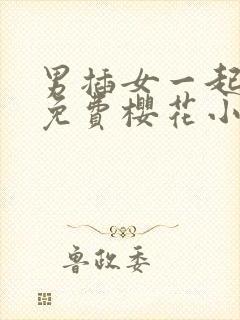 男插女一起爽的免费樱花小视频