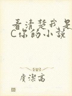 看清楚我是怎么C你的小说